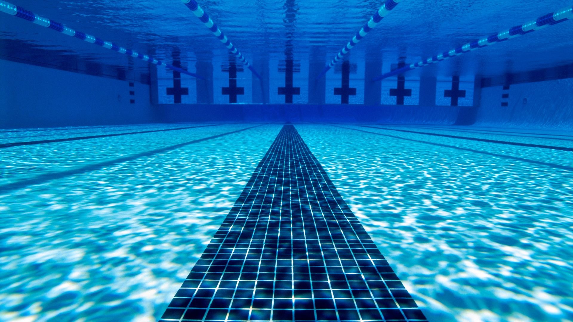 Empty swimming pool with lane markers and underwater perspective