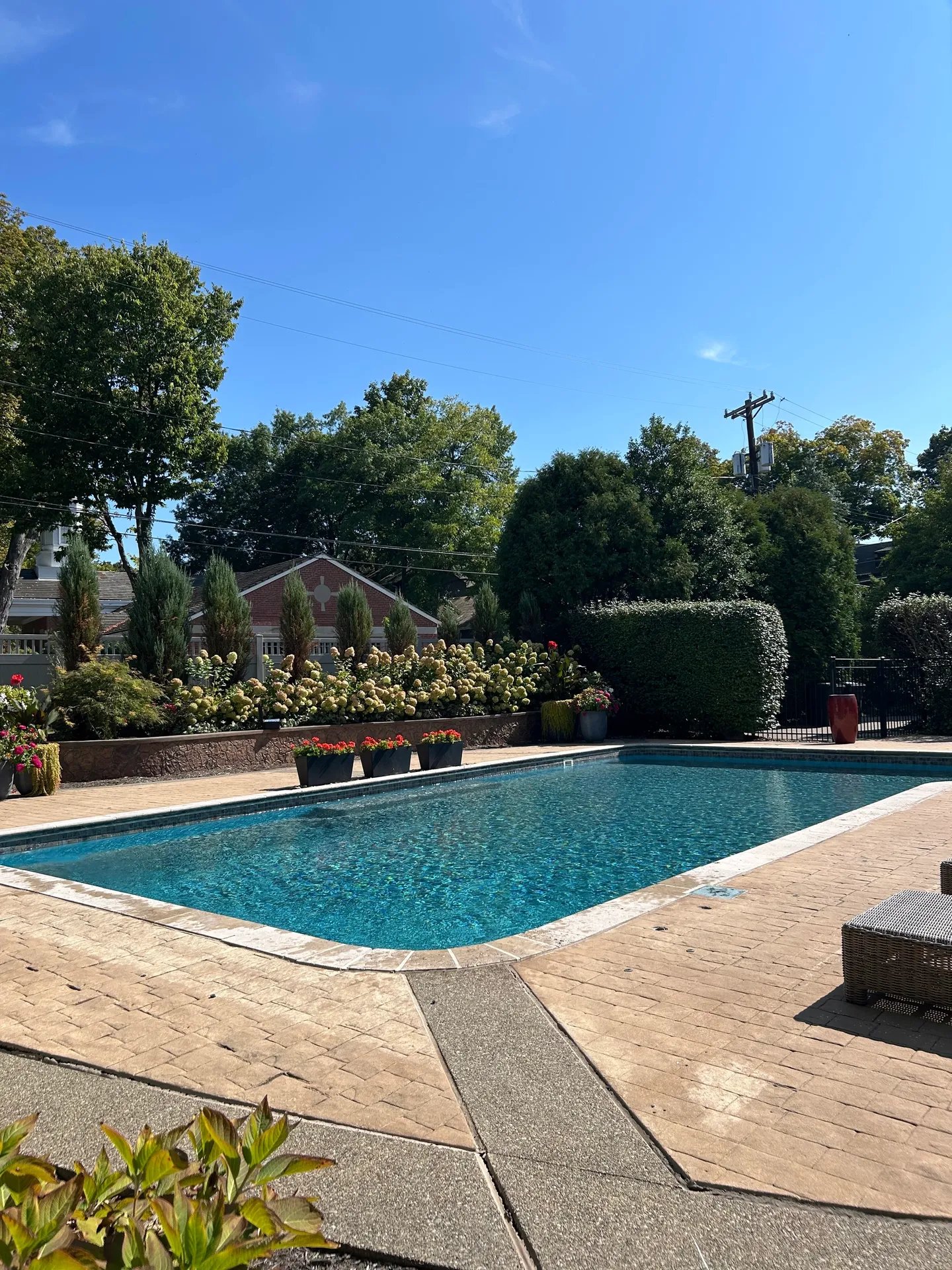 Backyard swimming pool with landscaped garden on a sunny summer day
